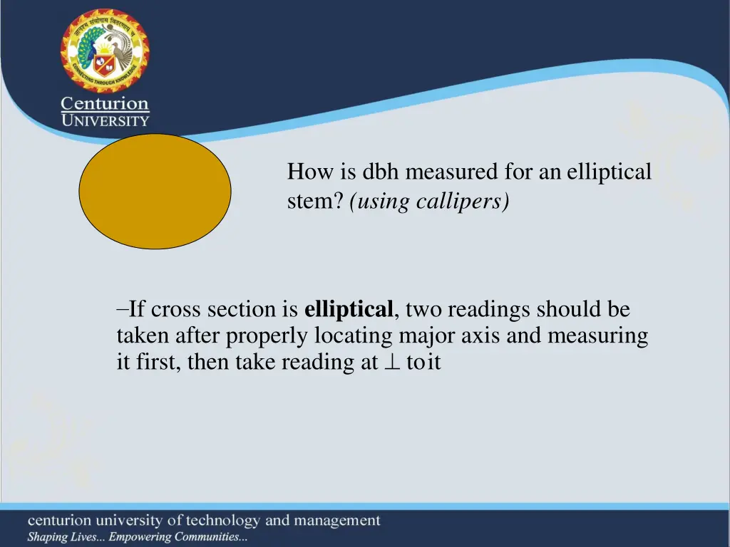 how is dbh measured for an elliptical stem using