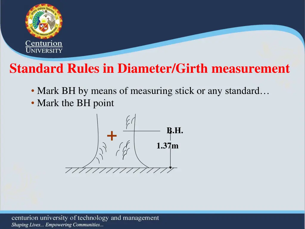 standard rules in diameter girth measurement 1