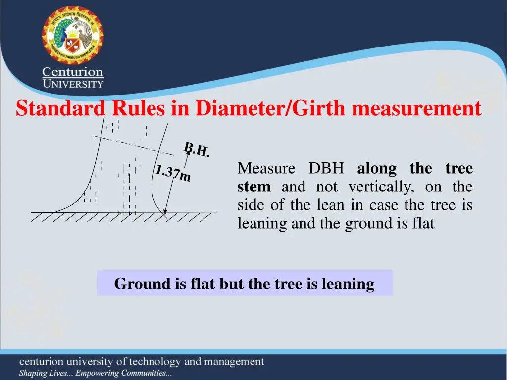 standard rules in diameter girth measurement 3