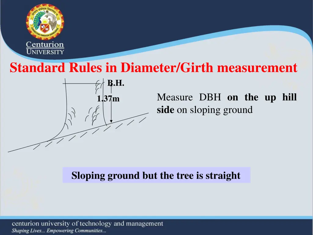 standard rules in diameter girth measurement 4