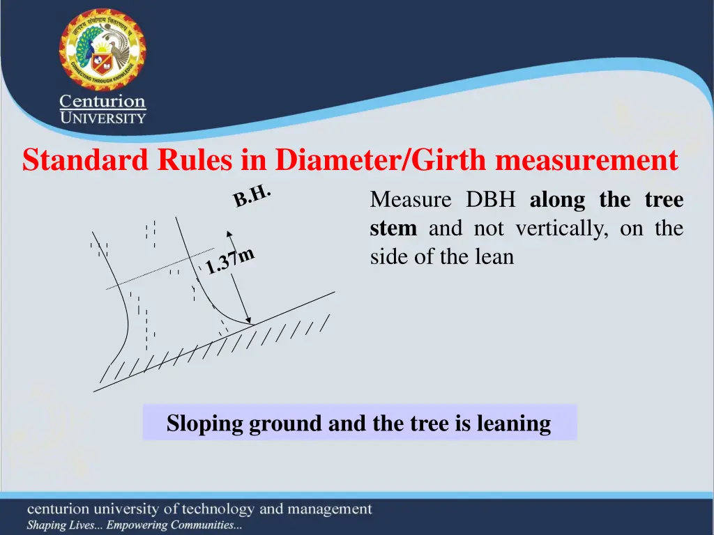 standard rules in diameter girth measurement 5