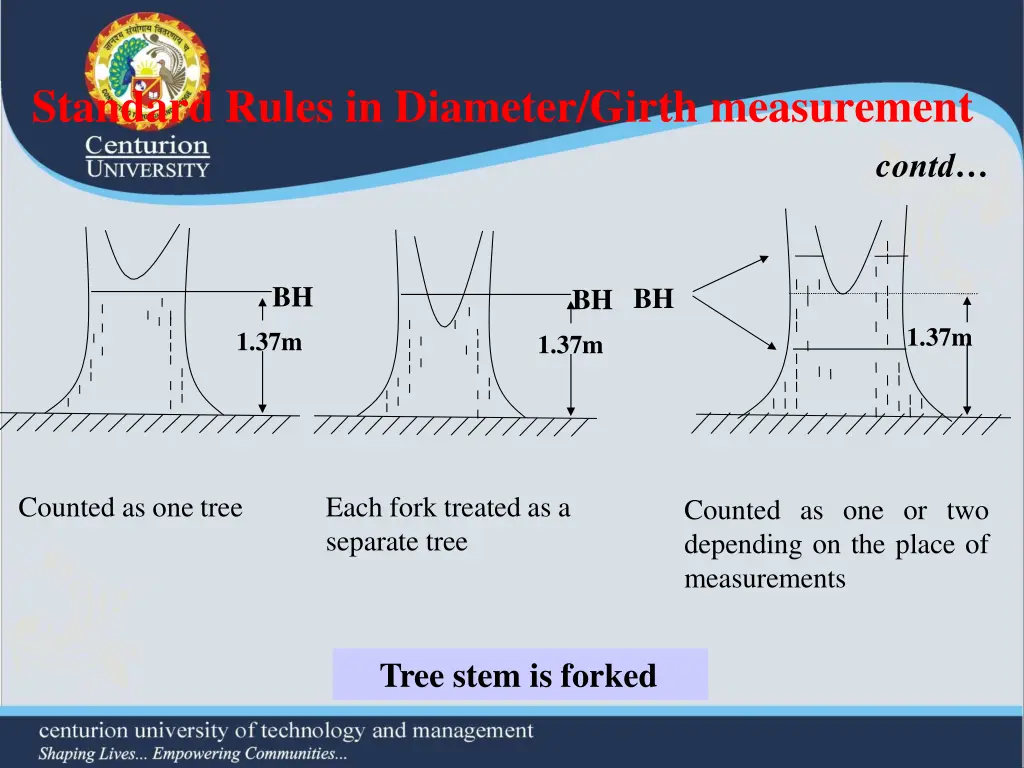 standard rules in diameter girth measurement 6