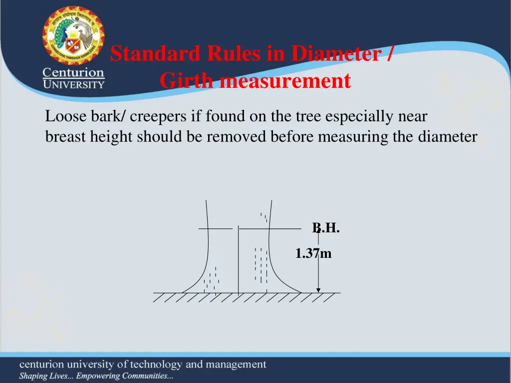 standard rules in diameter girth measurement