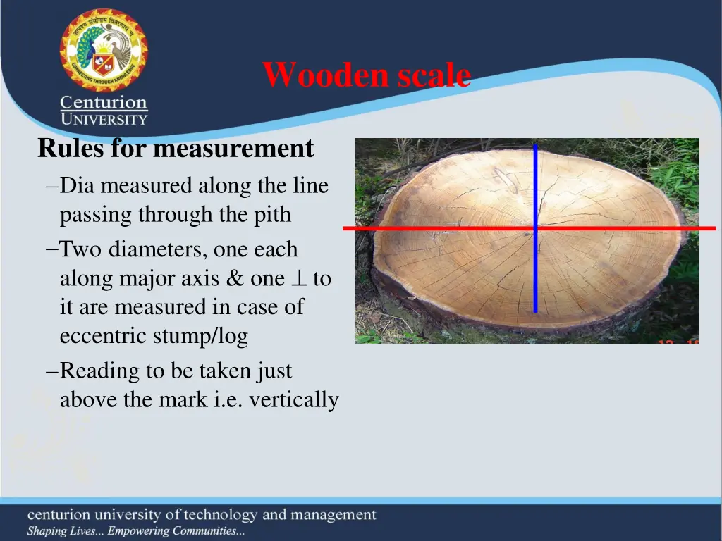 wooden scale