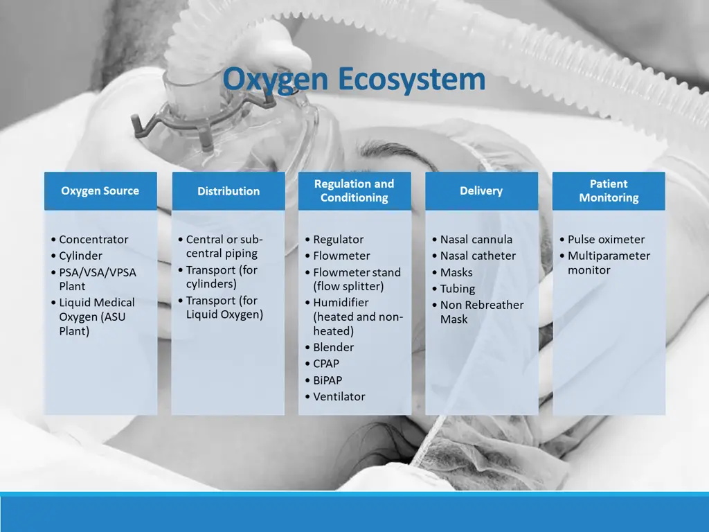 oxygen ecosystem