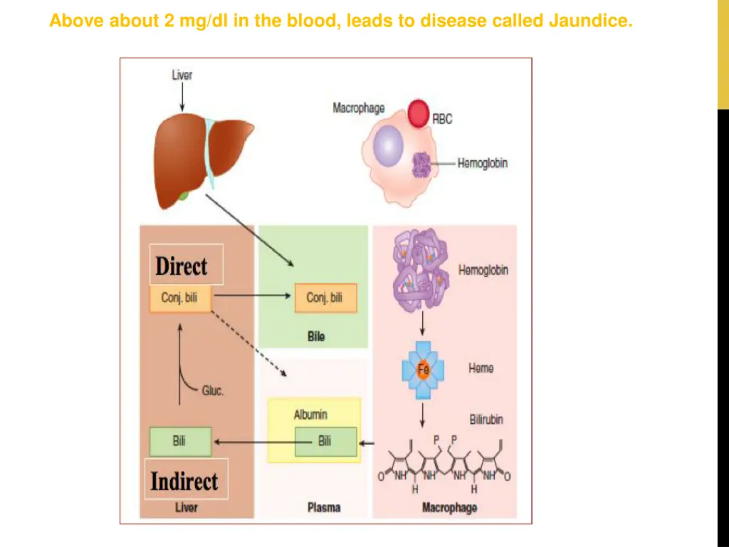 above about 2 mg dl in the blood leads to disease