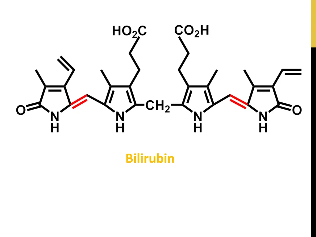 bilirubin