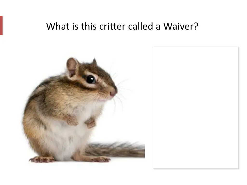 what is this critter called a waiver