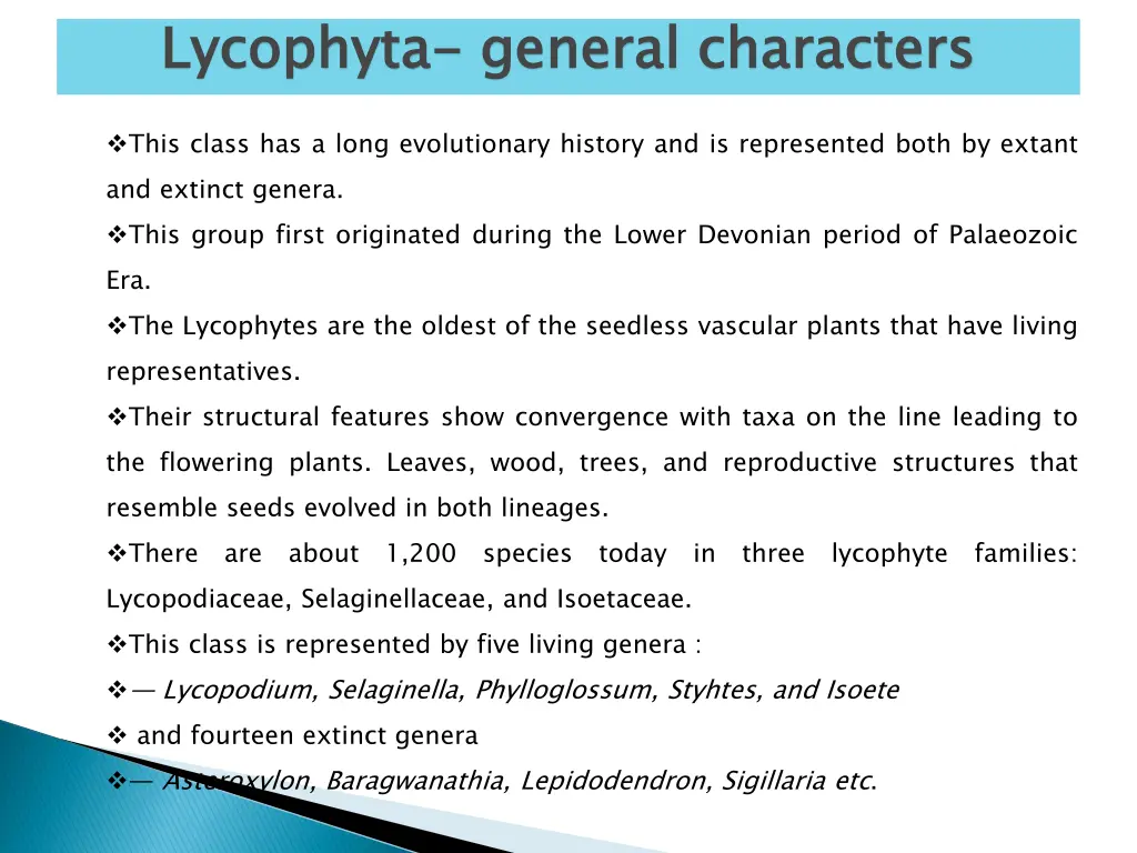 lycophyta