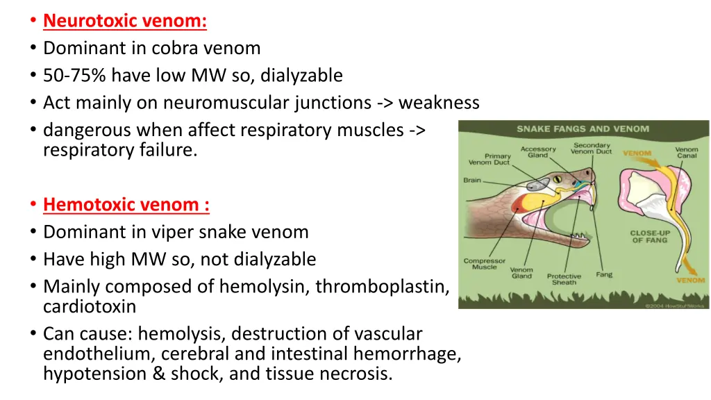 neurotoxic venom dominant in cobra venom