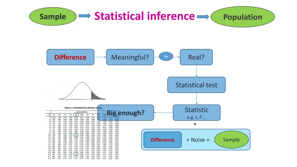 statistical inference