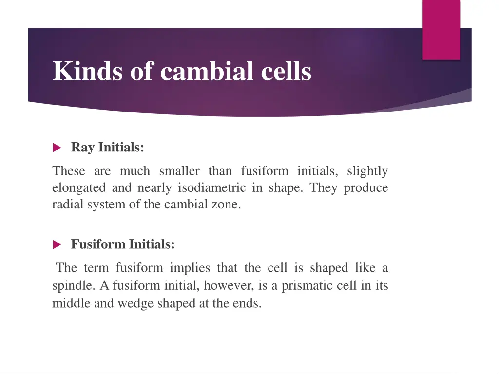 kinds of cambial cells