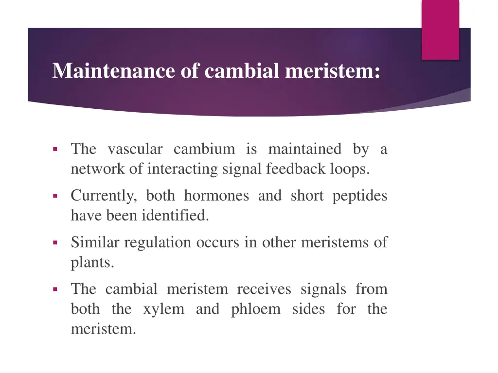 maintenance of cambial meristem