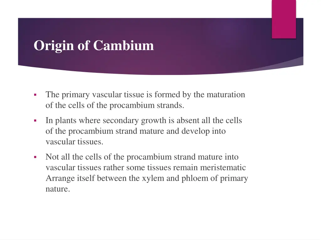 origin of cambium