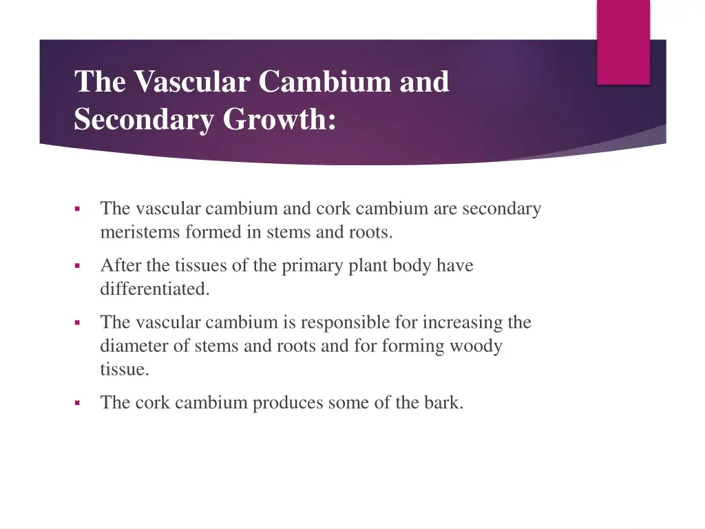 the vascular cambium and secondary growth