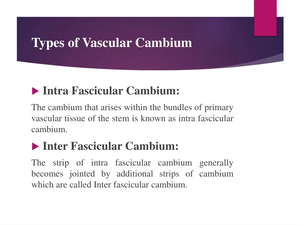 types of vascular cambium