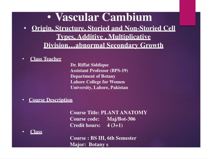 vascular cambium origin structure storied