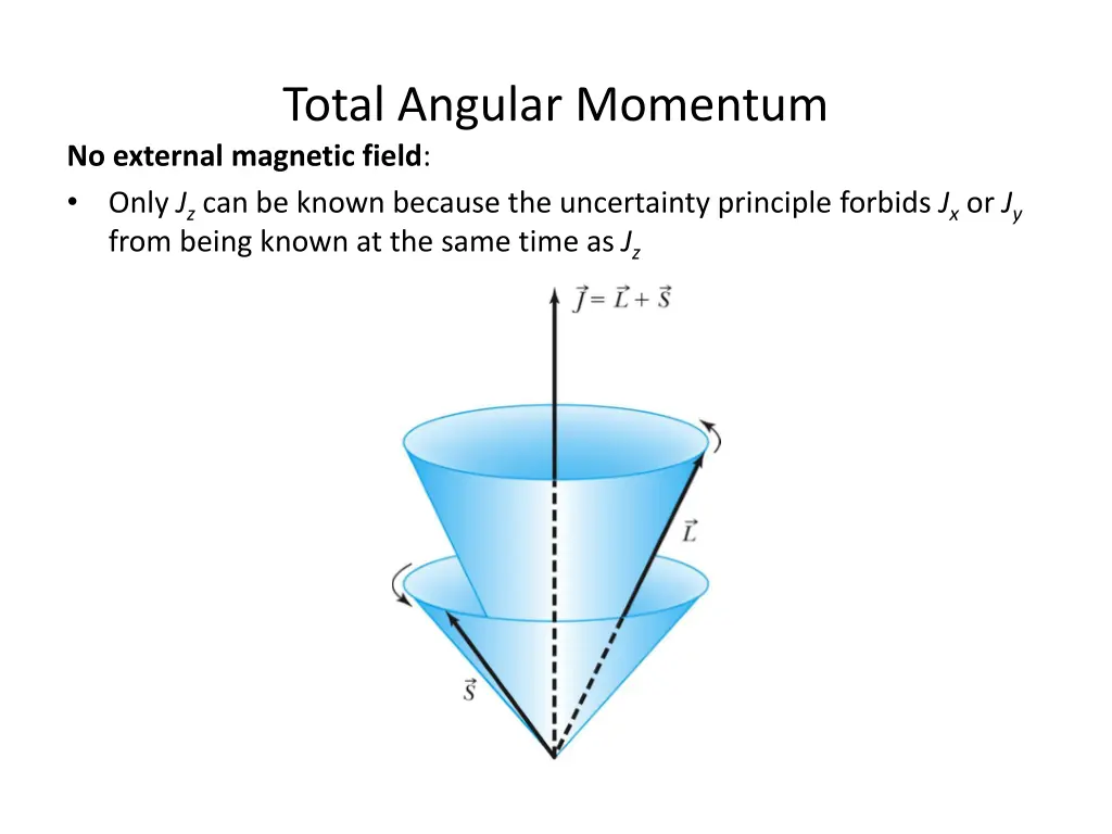 total angular momentum no external magnetic field