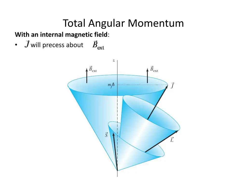 total angular momentum with an internal magnetic