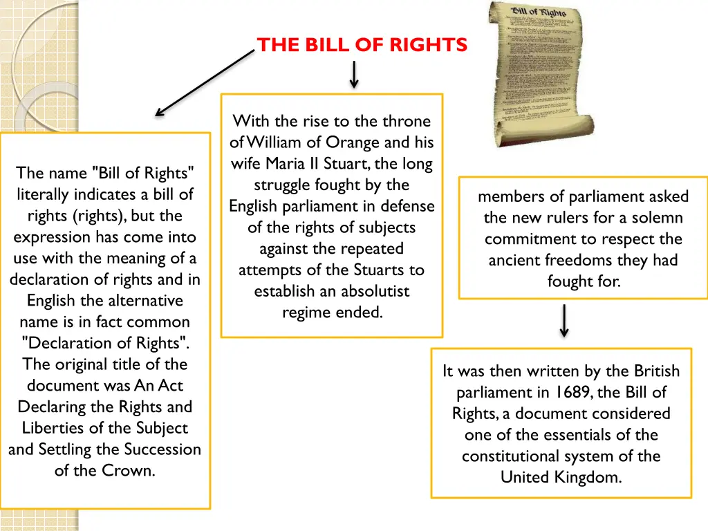 the bill of rights