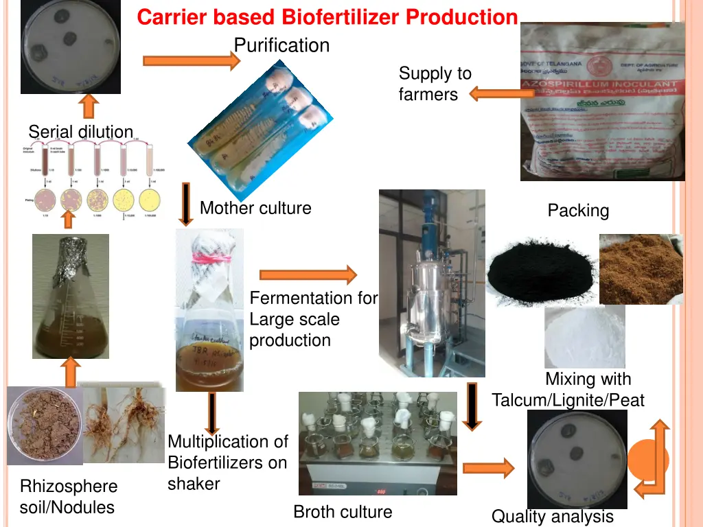 carrier based biofertilizer production