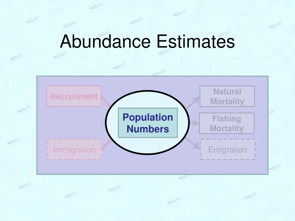 abundance estimates 1