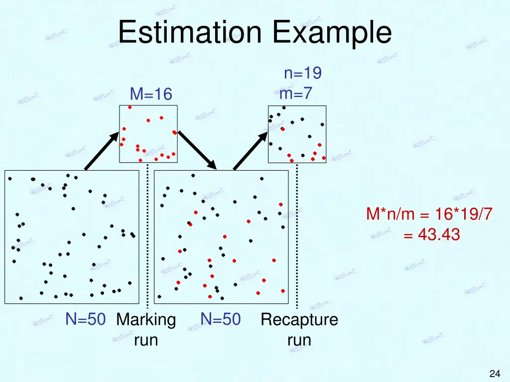 estimation example