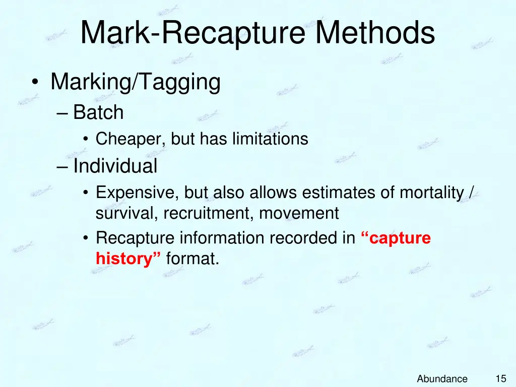 mark recapture methods 2