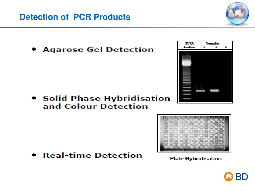 detection of pcr products