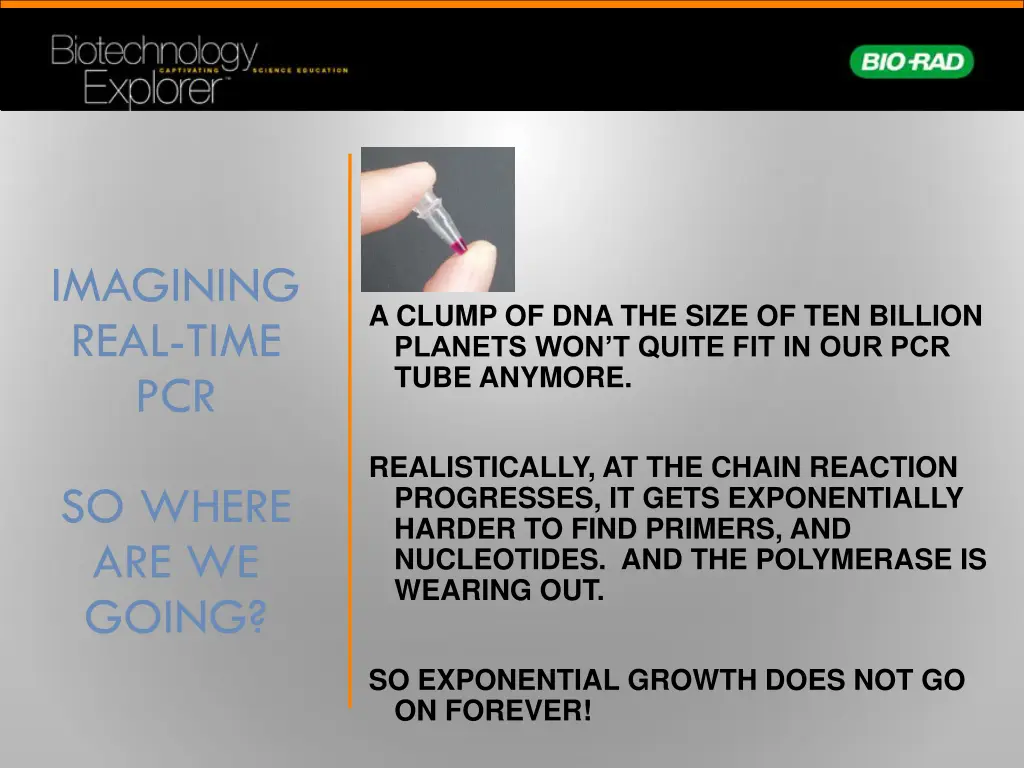 imagining real time pcr 3