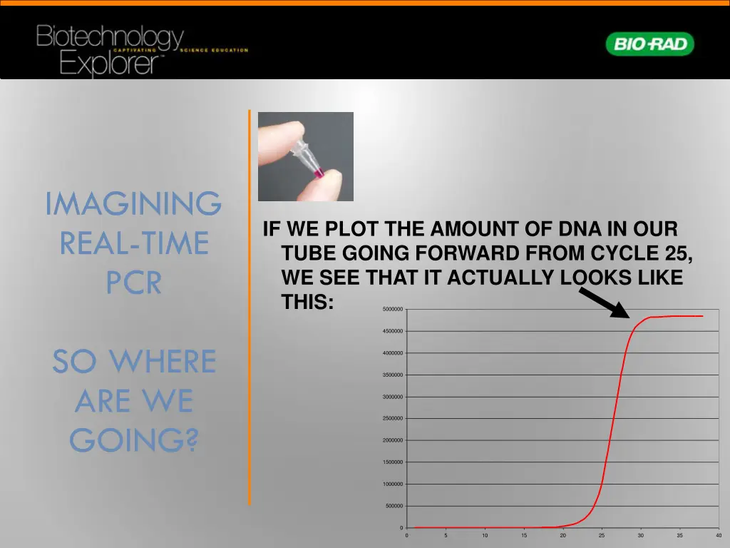 imagining real time pcr 4