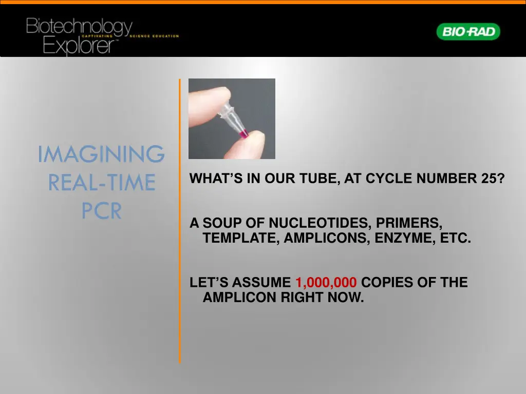 imagining real time pcr