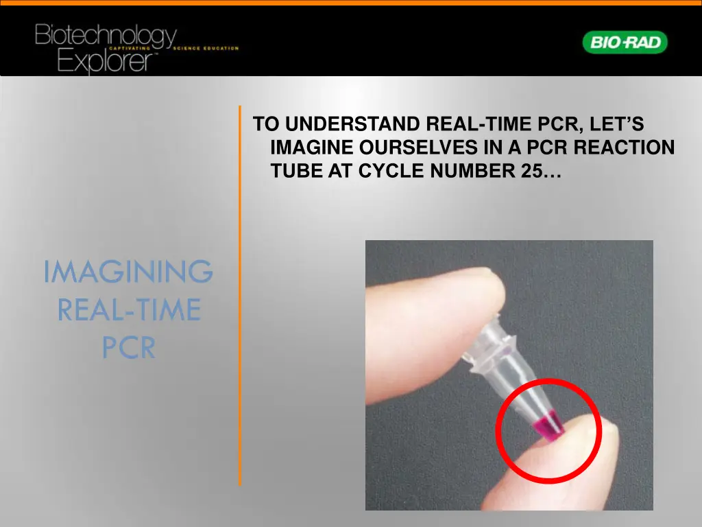 to understand real time pcr let s imagine