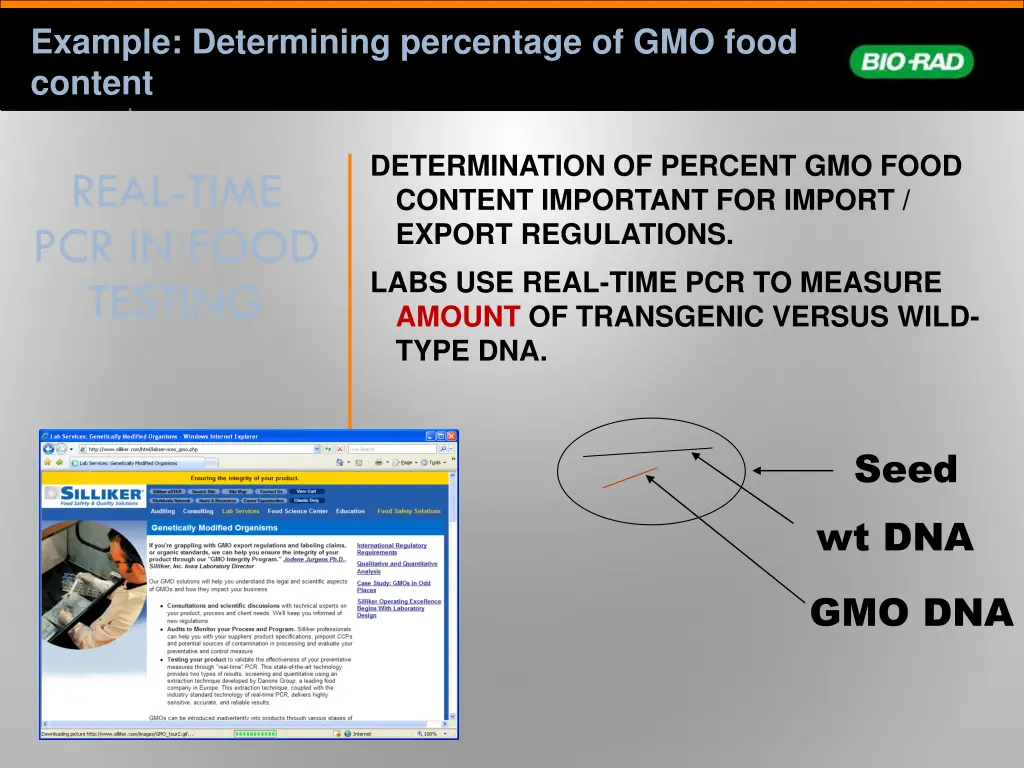 example determining percentage of gmo food content