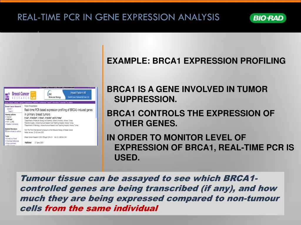 real time pcr in gene expression analysis