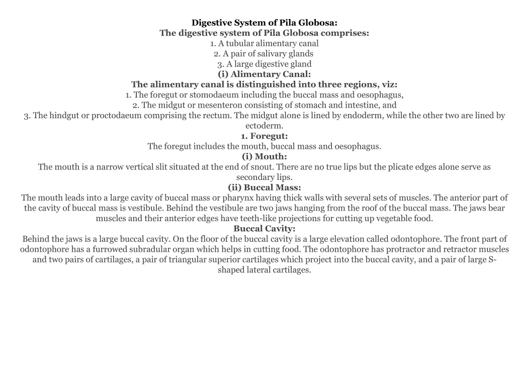 digestive system of pila globosa the digestive