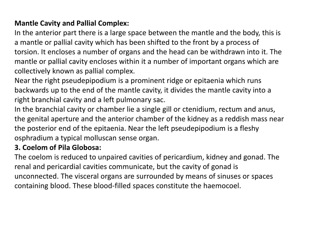 mantle cavity and pallial complex in the anterior