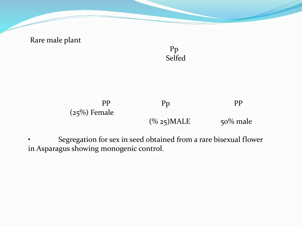 rare male plant pp selfed