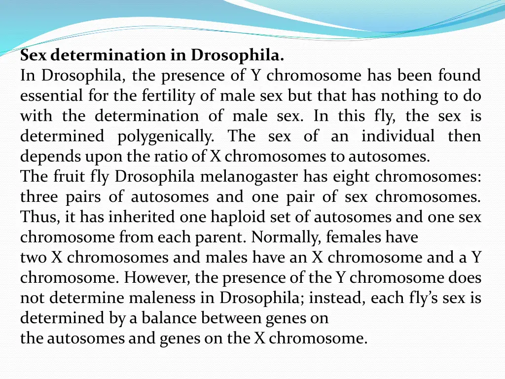 sex determination in drosophila in drosophila