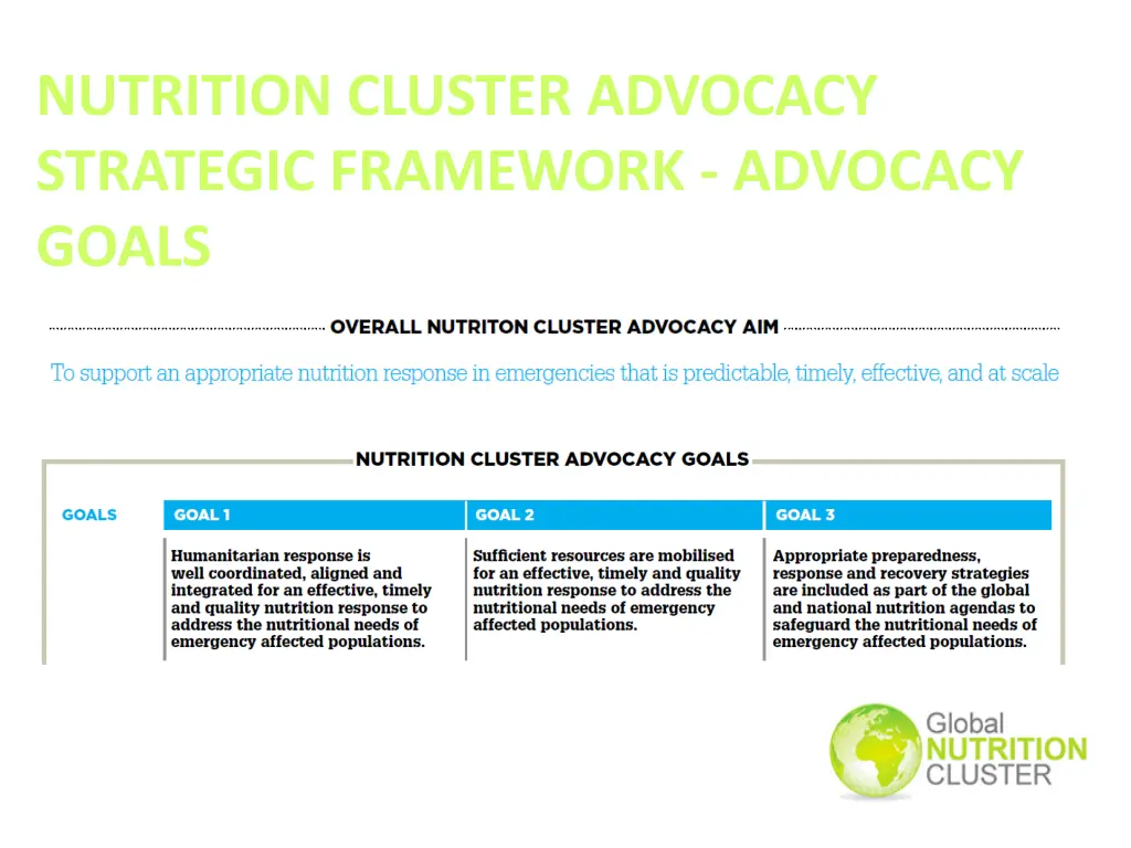 nutrition cluster advocacy strategic framework