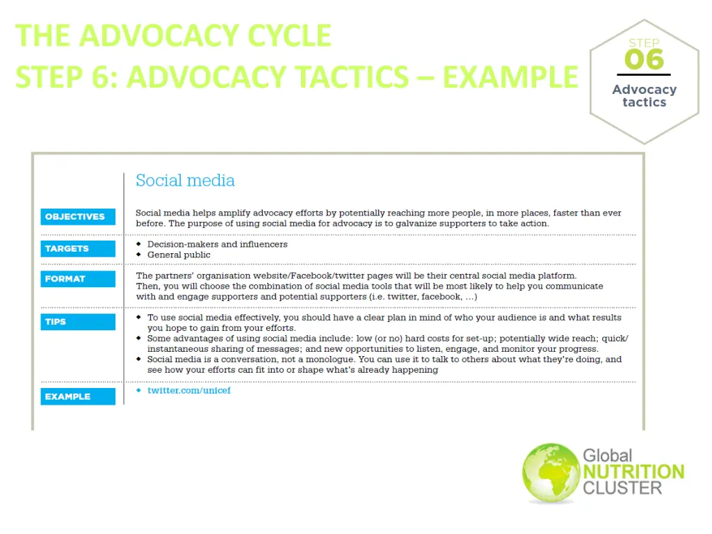 the advocacy cycle step 6 advocacy tactics example