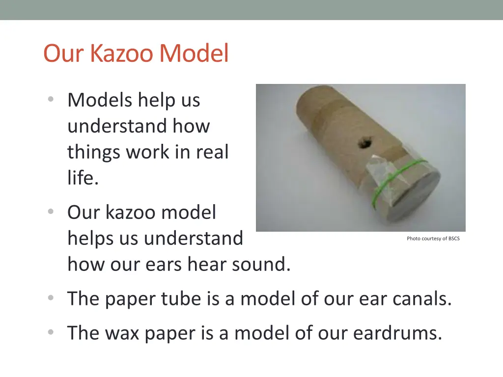 our kazoo model