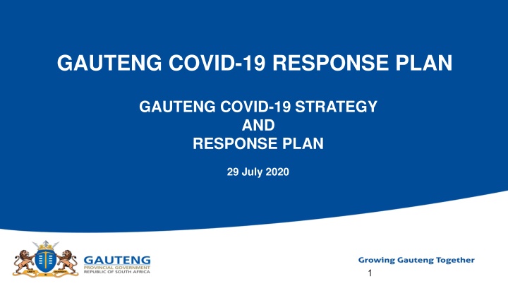 gauteng covid 19 response plan