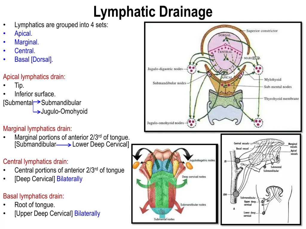 lymphatic drainage