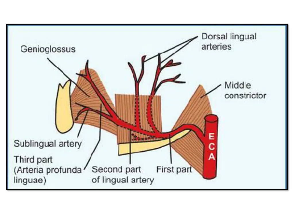 slide7