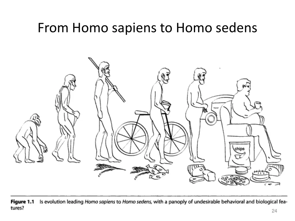 from homo sapiens to homo sedens