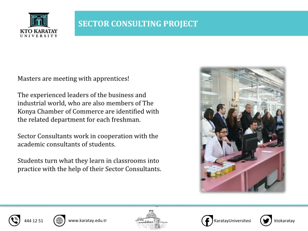 sector consulting project