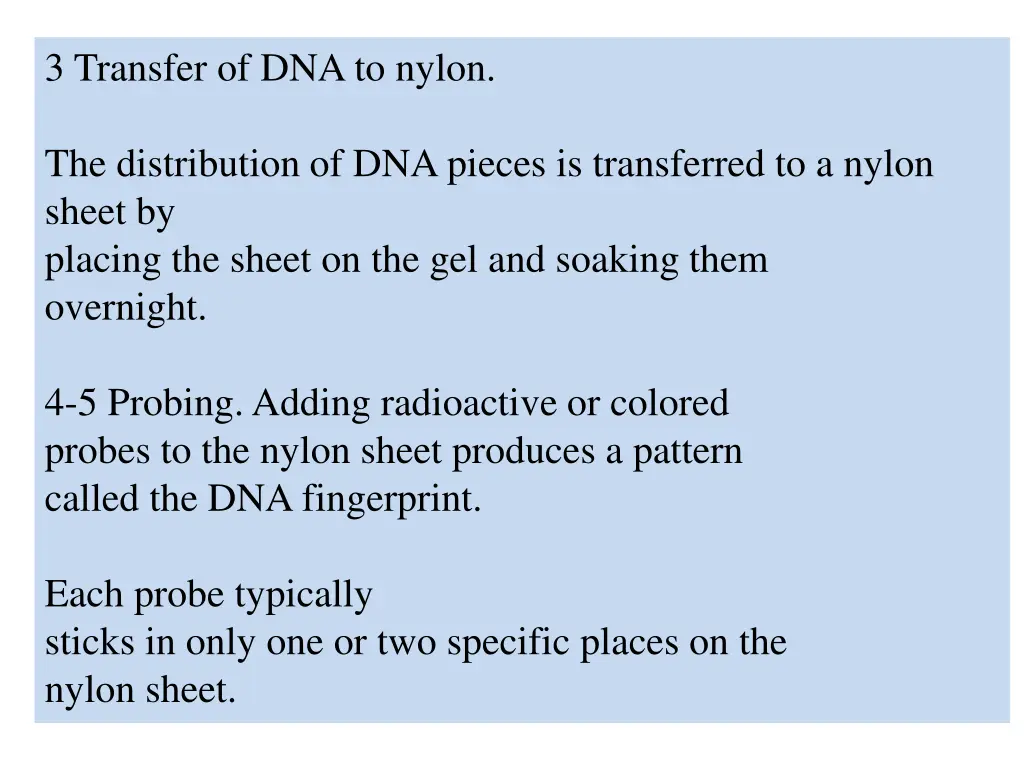 3 transfer of dna to nylon