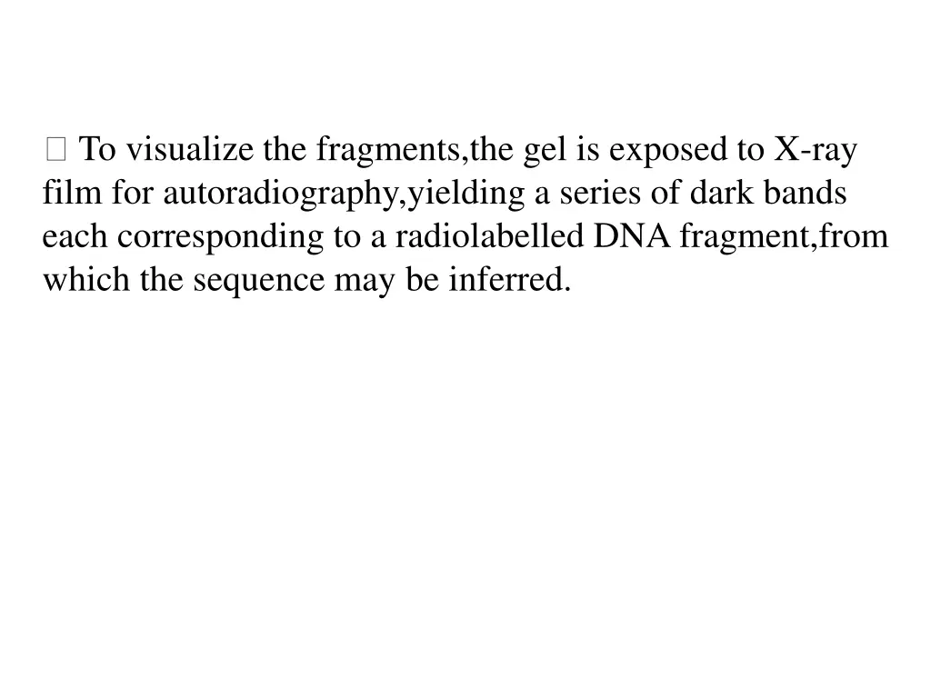 to visualize the fragments the gel is exposed