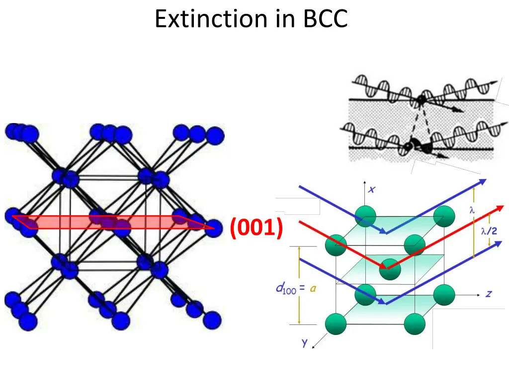 extinction in bcc